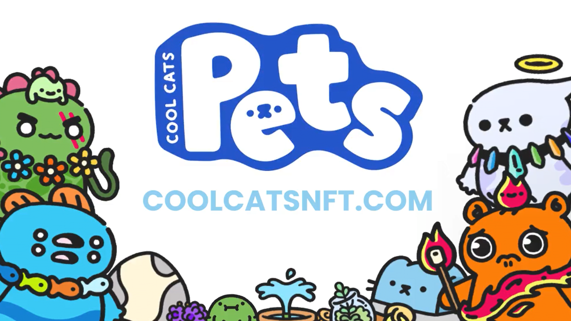 Cool Pets: Everything You Need to Know