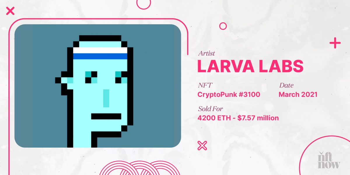 Cryptopunk 3100 Nft