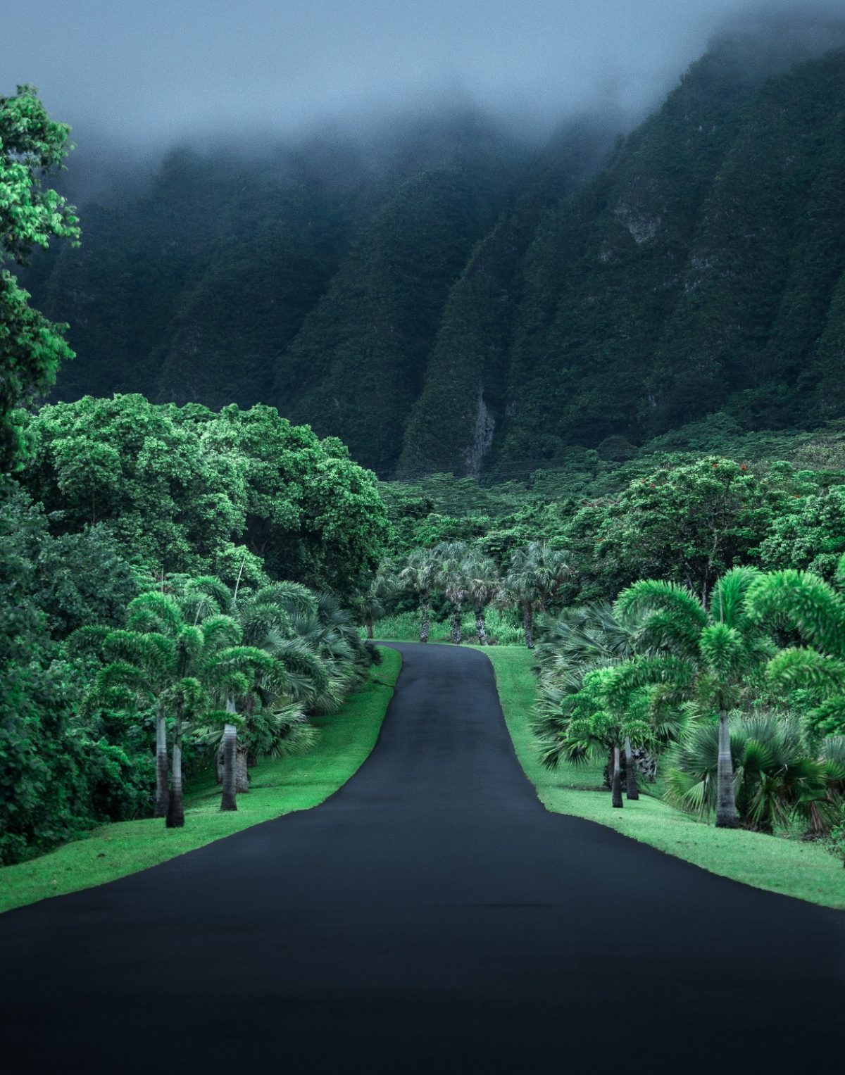 An asphalt road cuts through lush, vibrant green trees and vegetation, stretching into the distance where steep mountains and dark clouds rise into the sky.