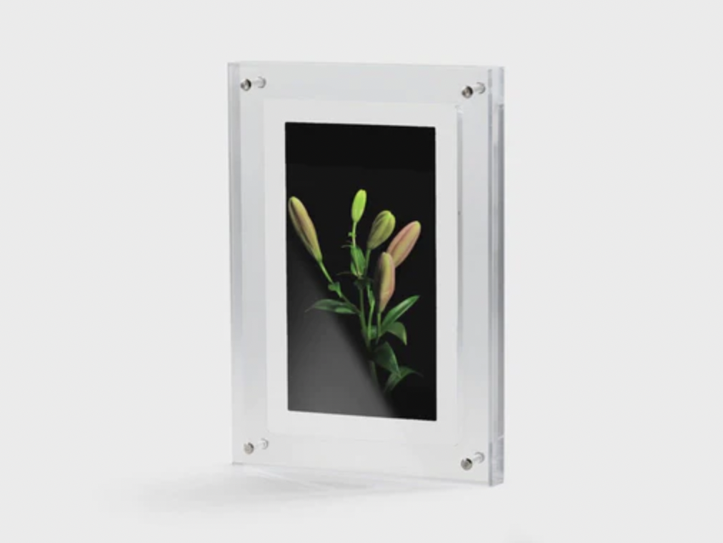 Infinite Objects frame with flower