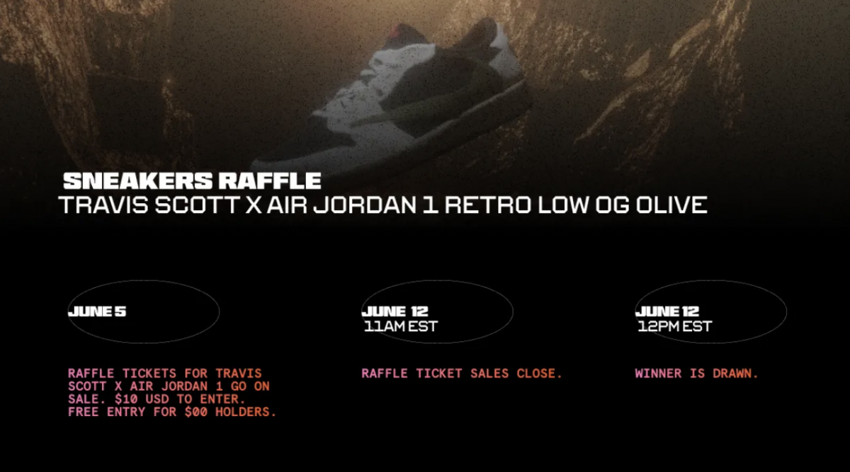 Sneaker raffle details