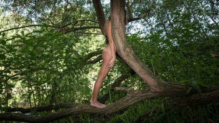 A photograph of a naked woman in a forest taken from the side whose hands are at her side and whose face is obscured by the truck of a tree. 