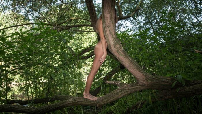 A photograph of a naked woman in a forest, taken from the side with hands at her sides and whose face is obscured by the lorry of a tree. 